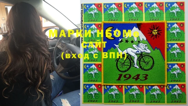 шишки Саяногорск